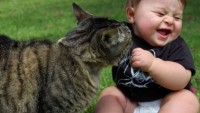 Çocuklara hayvan sevgisini aşılamak neden önemlidir?
