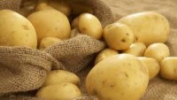 Patates sağlıklı mı yoksa zararlı mı?