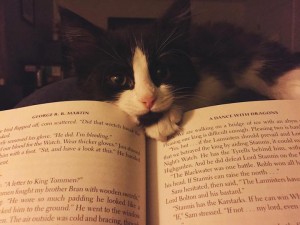 kitap-okumak-ve-kediler