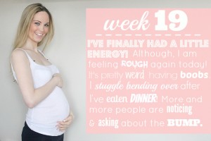 19-weeks-pregnant