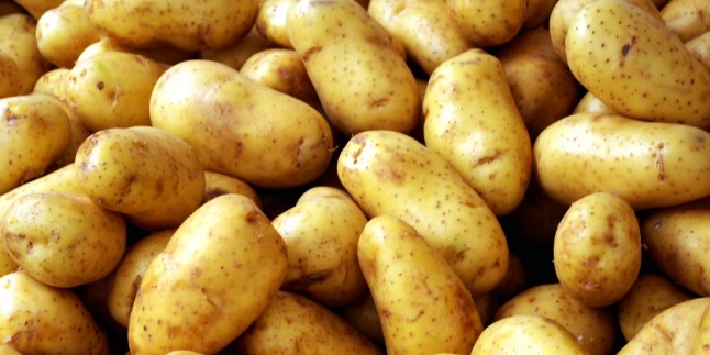 Patates Mucizesi